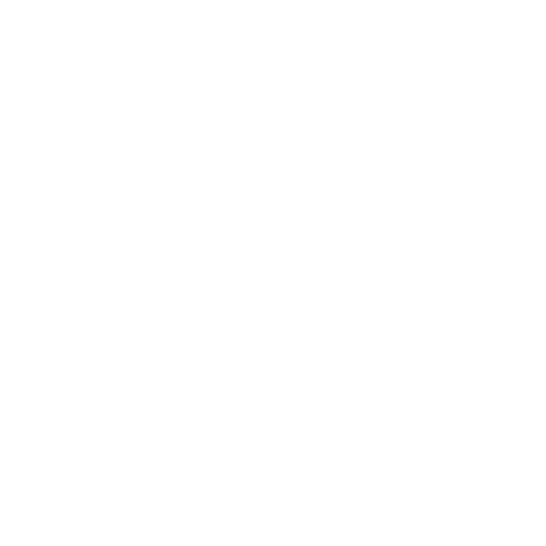 Certified & Insured Team