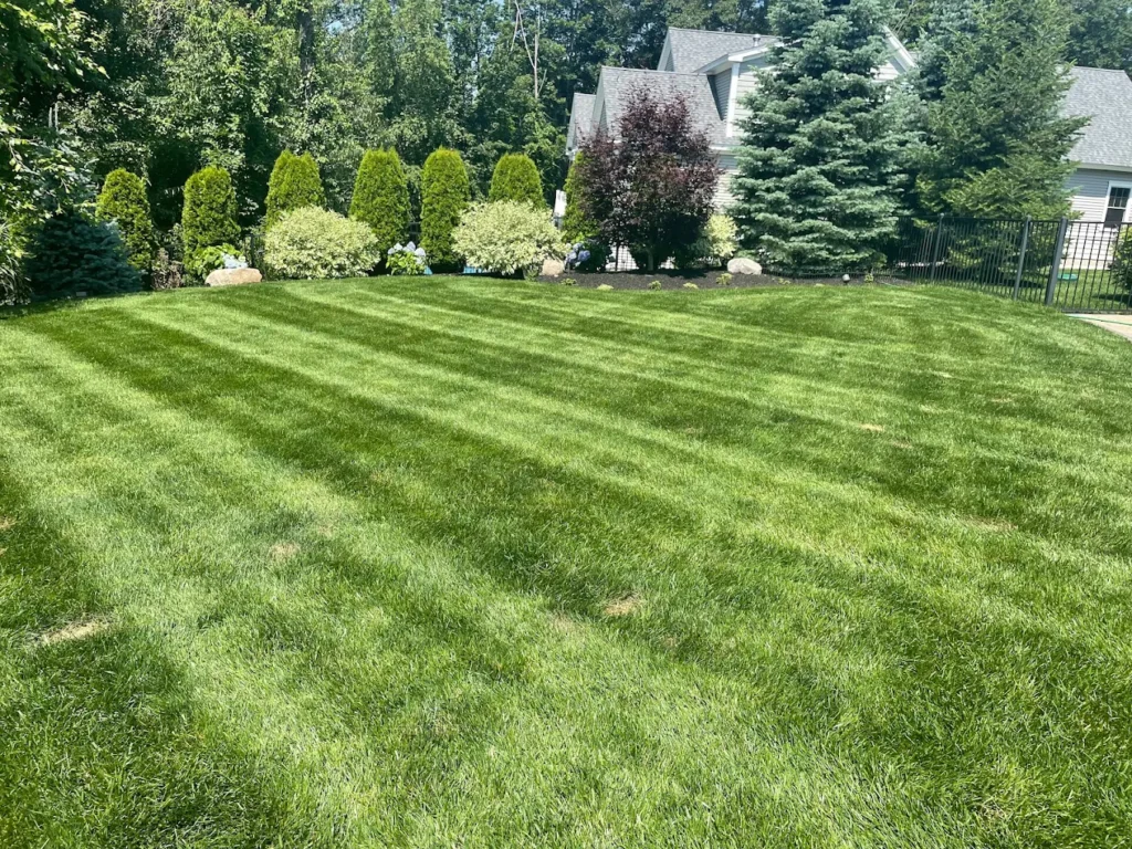 professional landscaping services NH