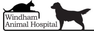 windham-animal-hospital